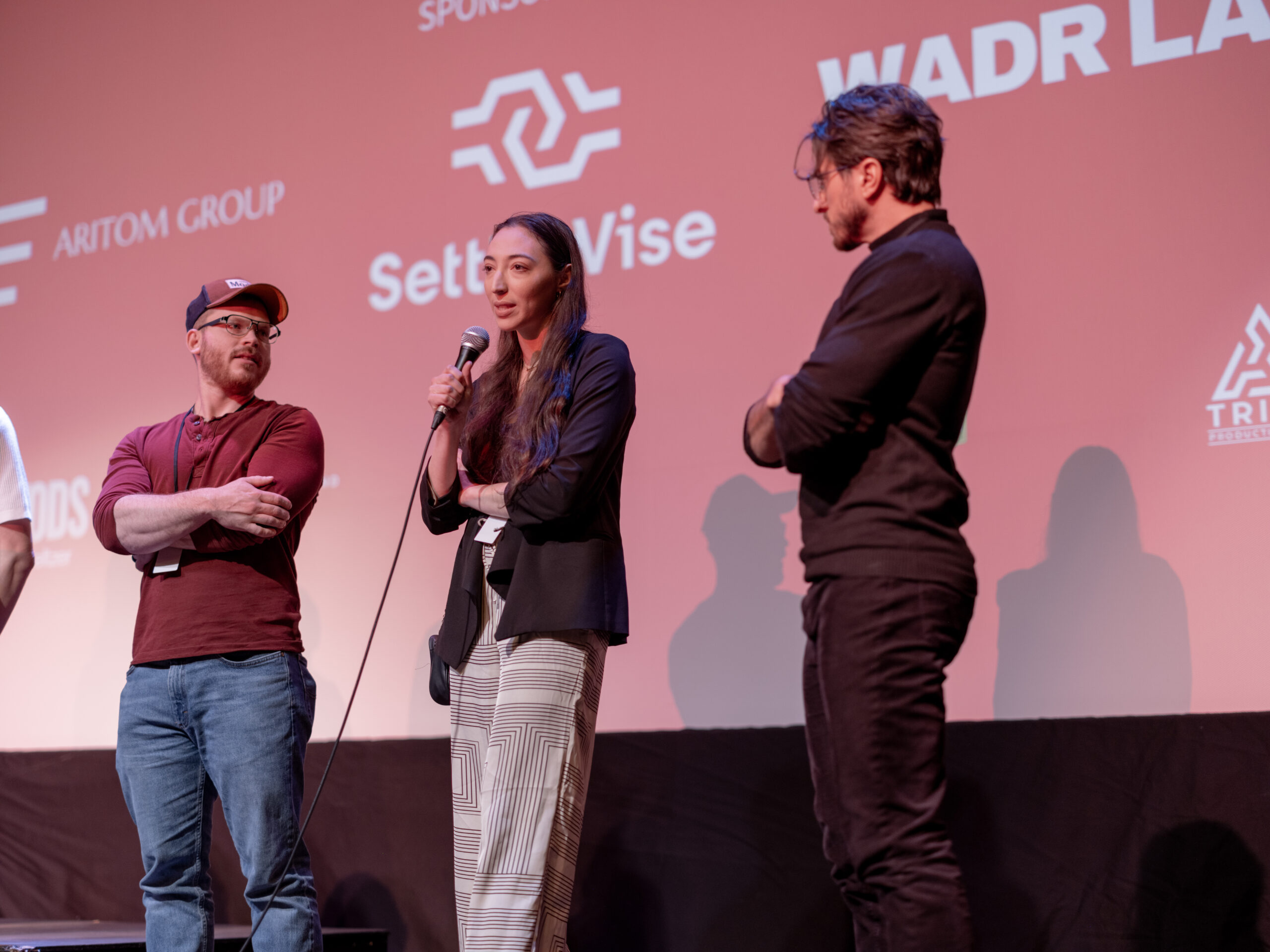 wellsboro film festival filmmakers q and a 3